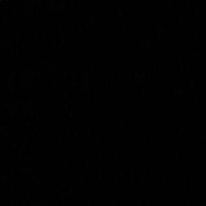 Meet your Posher, Alexus